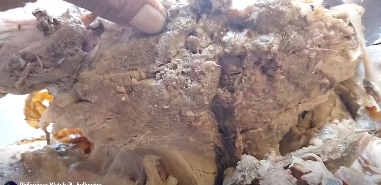 Trigger Warning: Maggots found in lechon at Davao restaurant spark food safety concerns